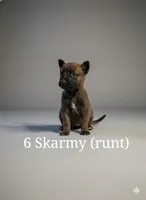 processed/0d7a0732-35ed-4395-aa80-be8be27ddbf7/listing/a62b5918-7030-4e7d-bd85-0c5b3ed395b2/79f16596-c13b-45d6-834c-c73b14949bdf