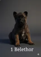 processed/0d7a0732-35ed-4395-aa80-be8be27ddbf7/listing/a62b5918-7030-4e7d-bd85-0c5b3ed395b2/b1b8d91c-5ad2-48de-a5c7-db9730b947bd