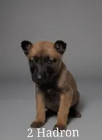 processed/0d7a0732-35ed-4395-aa80-be8be27ddbf7/listing/a62b5918-7030-4e7d-bd85-0c5b3ed395b2/fc1c9bb3-bdd0-419d-9dc1-9e494c5241d6