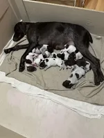 processed/0d7a9875-0415-4717-8011-dadb2e23d2b4/facility/06dc56e3-0b83-4332-bc3d-813683ec1be0