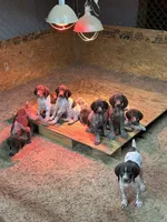 processed/0d7a9875-0415-4717-8011-dadb2e23d2b4/facility/083d48d5-68eb-4ea5-b9d0-446eb96bb021