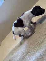 processed/0d7a9875-0415-4717-8011-dadb2e23d2b4/facility/909c45f7-270d-492b-a385-0283265c6890