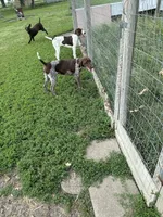 processed/0d7a9875-0415-4717-8011-dadb2e23d2b4/facility/9446176c-d059-4aad-aa52-cfa277e7c51a