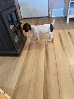 processed/0d7a9875-0415-4717-8011-dadb2e23d2b4/listing/7baa51bb-d9c7-4e56-b515-0f2aa25b7777/163143b8-fb9b-480b-8d45-144a666f4b43