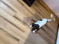 processed/0d7a9875-0415-4717-8011-dadb2e23d2b4/listing/7baa51bb-d9c7-4e56-b515-0f2aa25b7777/29c8c4e4-d1c5-48dd-b3c9-c81a071c58ce