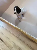 processed/0d7a9875-0415-4717-8011-dadb2e23d2b4/listing/7baa51bb-d9c7-4e56-b515-0f2aa25b7777/3c42f9e7-acf5-4146-a25e-d6f7ff612c79