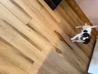 processed/0d7a9875-0415-4717-8011-dadb2e23d2b4/listing/7baa51bb-d9c7-4e56-b515-0f2aa25b7777/85dc550d-f835-4e7a-83c6-8dd32084220f