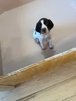 processed/0d7a9875-0415-4717-8011-dadb2e23d2b4/listing/7baa51bb-d9c7-4e56-b515-0f2aa25b7777/caaa2717-cc3e-4357-9dac-c125c546525f