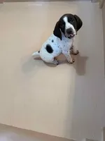 processed/0d7a9875-0415-4717-8011-dadb2e23d2b4/listing/7baa51bb-d9c7-4e56-b515-0f2aa25b7777/cd27e2f6-4280-400d-b5ed-e05086d6ddc1