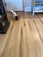 processed/0d7a9875-0415-4717-8011-dadb2e23d2b4/listing/7baa51bb-d9c7-4e56-b515-0f2aa25b7777/e86a4dba-7146-4d06-8869-a149434349e7