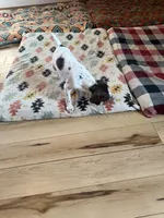 processed/0d7a9875-0415-4717-8011-dadb2e23d2b4/listing/7baa51bb-d9c7-4e56-b515-0f2aa25b7777/f019793b-aa7b-40ba-a984-f62adb8e0c44