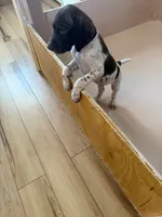 processed/0d7a9875-0415-4717-8011-dadb2e23d2b4/listing/c621fd29-a8bb-4923-8d87-9b6e80a5b4ae/6a7edb3d-9d59-488f-8793-bc0ba826bac9