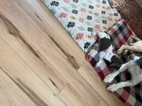 processed/0d7a9875-0415-4717-8011-dadb2e23d2b4/listing/c621fd29-a8bb-4923-8d87-9b6e80a5b4ae/75eba557-3635-486d-944c-7f59c2652e05