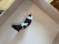 processed/0d7a9875-0415-4717-8011-dadb2e23d2b4/listing/c621fd29-a8bb-4923-8d87-9b6e80a5b4ae/c5aa1c48-4a43-4b4e-b6e0-48b269045eaf