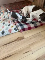 processed/0d7a9875-0415-4717-8011-dadb2e23d2b4/listing/c621fd29-a8bb-4923-8d87-9b6e80a5b4ae/d16a9e0f-c487-4ced-825a-7fe670a2c1bb