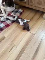 processed/0d7a9875-0415-4717-8011-dadb2e23d2b4/listing/c621fd29-a8bb-4923-8d87-9b6e80a5b4ae/f18dd2a3-722d-4f04-8dec-baafc8d8f608