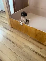 processed/0d7a9875-0415-4717-8011-dadb2e23d2b4/listing/c621fd29-a8bb-4923-8d87-9b6e80a5b4ae/fb233798-ae72-452a-9a56-c3114eae6e3c