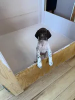 processed/0d7a9875-0415-4717-8011-dadb2e23d2b4/listing/c621fd29-a8bb-4923-8d87-9b6e80a5b4ae/fbca071a-5727-4aa2-ba23-3f5d8d5d5334