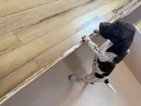 processed/0d7a9875-0415-4717-8011-dadb2e23d2b4/listing/c621fd29-a8bb-4923-8d87-9b6e80a5b4ae/fd910c03-9e26-4a9a-8805-aff0def61337