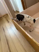 processed/0d7a9875-0415-4717-8011-dadb2e23d2b4/listing/d65e401c-cb57-4623-b880-8d62dece1729/1921e1f2-485f-4fd0-a0f4-7a38f2b71c15