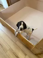 processed/0d7a9875-0415-4717-8011-dadb2e23d2b4/listing/d65e401c-cb57-4623-b880-8d62dece1729/57a071ae-e16b-44c7-a9e0-9a2fc7d6eb6a