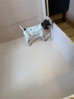 processed/0d7a9875-0415-4717-8011-dadb2e23d2b4/listing/d65e401c-cb57-4623-b880-8d62dece1729/63dae0f7-f053-4465-9ce7-281fc484f095