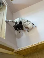 processed/0d7a9875-0415-4717-8011-dadb2e23d2b4/listing/d65e401c-cb57-4623-b880-8d62dece1729/7d9cb30c-d466-45a0-9d51-12609bad0600