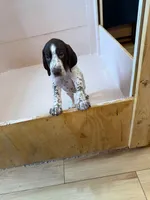 processed/0d7a9875-0415-4717-8011-dadb2e23d2b4/listing/d65e401c-cb57-4623-b880-8d62dece1729/9ab91aec-7712-43ca-93cf-409f4feedf20