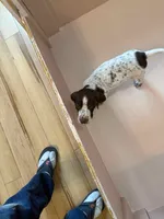 processed/0d7a9875-0415-4717-8011-dadb2e23d2b4/listing/d65e401c-cb57-4623-b880-8d62dece1729/e72620fa-e0cf-43ae-845d-5ba1c86c68b3