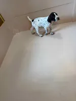 processed/0d7a9875-0415-4717-8011-dadb2e23d2b4/listing/d65e401c-cb57-4623-b880-8d62dece1729/f1a99b05-3512-4872-a2e7-2e453da6af62