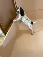 processed/0d7a9875-0415-4717-8011-dadb2e23d2b4/listing/d65e401c-cb57-4623-b880-8d62dece1729/f9ba6715-6fae-498b-b89c-fb642cb3e1c5