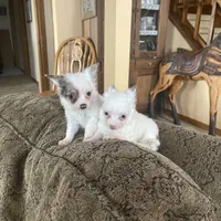 processed/0d7df6fb-7f4c-4f3d-b162-16661f8faeec/facility/5922050b-6b6b-4b32-915f-9225987257f7