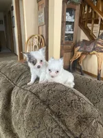 processed/0d7df6fb-7f4c-4f3d-b162-16661f8faeec/facility/5922050b-6b6b-4b32-915f-9225987257f7