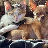 processed/0d7df6fb-7f4c-4f3d-b162-16661f8faeec/facility/6d30602c-5f9d-47f8-a423-86a930747e10