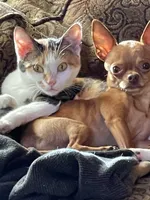 processed/0d7df6fb-7f4c-4f3d-b162-16661f8faeec/facility/6d30602c-5f9d-47f8-a423-86a930747e10