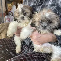 processed/0d7df6fb-7f4c-4f3d-b162-16661f8faeec/facility/aef4f01f-cfe2-48db-b7b4-e6d5796faca4