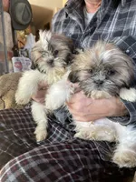 processed/0d7df6fb-7f4c-4f3d-b162-16661f8faeec/facility/aef4f01f-cfe2-48db-b7b4-e6d5796faca4