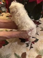 processed/0d7df6fb-7f4c-4f3d-b162-16661f8faeec/listing/533e2557-ed63-462b-84d1-34ad38463269/242a1b46-d5c6-47be-ac5f-bd64d3a98481