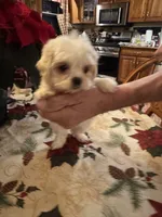 processed/0d7df6fb-7f4c-4f3d-b162-16661f8faeec/listing/533e2557-ed63-462b-84d1-34ad38463269/5432c06a-8128-4618-9b4f-b9e9e6b85368