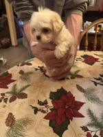 processed/0d7df6fb-7f4c-4f3d-b162-16661f8faeec/listing/533e2557-ed63-462b-84d1-34ad38463269/d34789da-9c2c-4466-a24b-4fcc567762ef