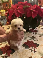 processed/0d7df6fb-7f4c-4f3d-b162-16661f8faeec/listing/533e2557-ed63-462b-84d1-34ad38463269/f32cd51c-5c7c-47e4-ab8a-f1aafdc2f16a