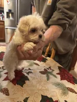 processed/0d7df6fb-7f4c-4f3d-b162-16661f8faeec/listing/8f8d1f2f-8291-4173-9ac8-9b7124200ec2/6a6d0a36-cfd3-441a-a136-2f4c0e0bcb60