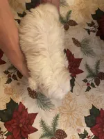 processed/0d7df6fb-7f4c-4f3d-b162-16661f8faeec/listing/8f8d1f2f-8291-4173-9ac8-9b7124200ec2/7970339b-145a-4303-90d9-bccc1eab9931