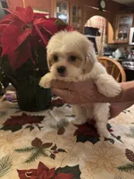 processed/0d7df6fb-7f4c-4f3d-b162-16661f8faeec/listing/8f8d1f2f-8291-4173-9ac8-9b7124200ec2/887a58e9-e0f3-4429-aaf9-9f6fb29d0b33