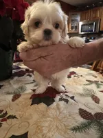 processed/0d7df6fb-7f4c-4f3d-b162-16661f8faeec/listing/8f8d1f2f-8291-4173-9ac8-9b7124200ec2/ed02b070-90cc-4ad5-9612-ade4f04456b6