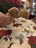 processed/0d7df6fb-7f4c-4f3d-b162-16661f8faeec/listing/c7cb334e-7b39-4db6-94c5-cd1d52a79e41/55880254-e49e-45ad-b497-b494c80e1a8b