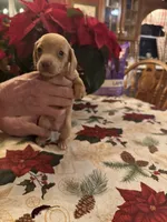 processed/0d7df6fb-7f4c-4f3d-b162-16661f8faeec/listing/c7cb334e-7b39-4db6-94c5-cd1d52a79e41/5dcee671-0cc4-4e39-bb28-9f83d4cfa9bf