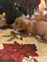 processed/0d7df6fb-7f4c-4f3d-b162-16661f8faeec/listing/c7cb334e-7b39-4db6-94c5-cd1d52a79e41/68ba83cb-2b88-46fb-936d-15a691a9c7ff