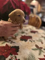 processed/0d7df6fb-7f4c-4f3d-b162-16661f8faeec/listing/c7cb334e-7b39-4db6-94c5-cd1d52a79e41/b5ae5cdb-359c-4d87-9649-76668525774b