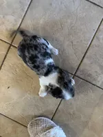 processed/0d7df6fb-7f4c-4f3d-b162-16661f8faeec/listing/e6110bd7-0f21-4157-bee8-a2334ee897a4/b233546e-3f27-4833-85ed-f8227f8ee100